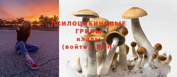 бутират Горнозаводск