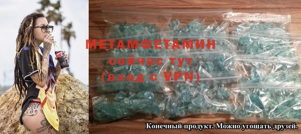 сатива Туринск