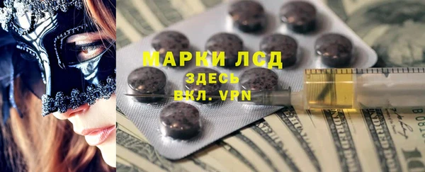 сатива Туринск