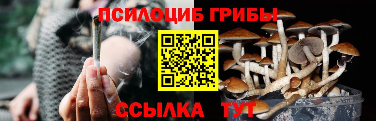 Нижний Новгород  Псилоцибиновые грибы ЛСД  Вход с VPN 